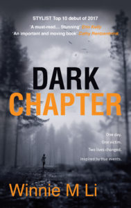 'Dark Chapter' by Winnie M Li book cover. 